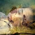 Medium Zafira - Beruf & Arbeitsleben - Hellsehen und Wahrsagen - Medium & Channeling - Tarot & Kartenlegen - Jenseitskontakte Medium Zafira - Beruf & Arbeitsleben - Hellsehen und Wahrsagen - Medium & Channeling - Tarot & Kartenlegen - Jenseitskontakte